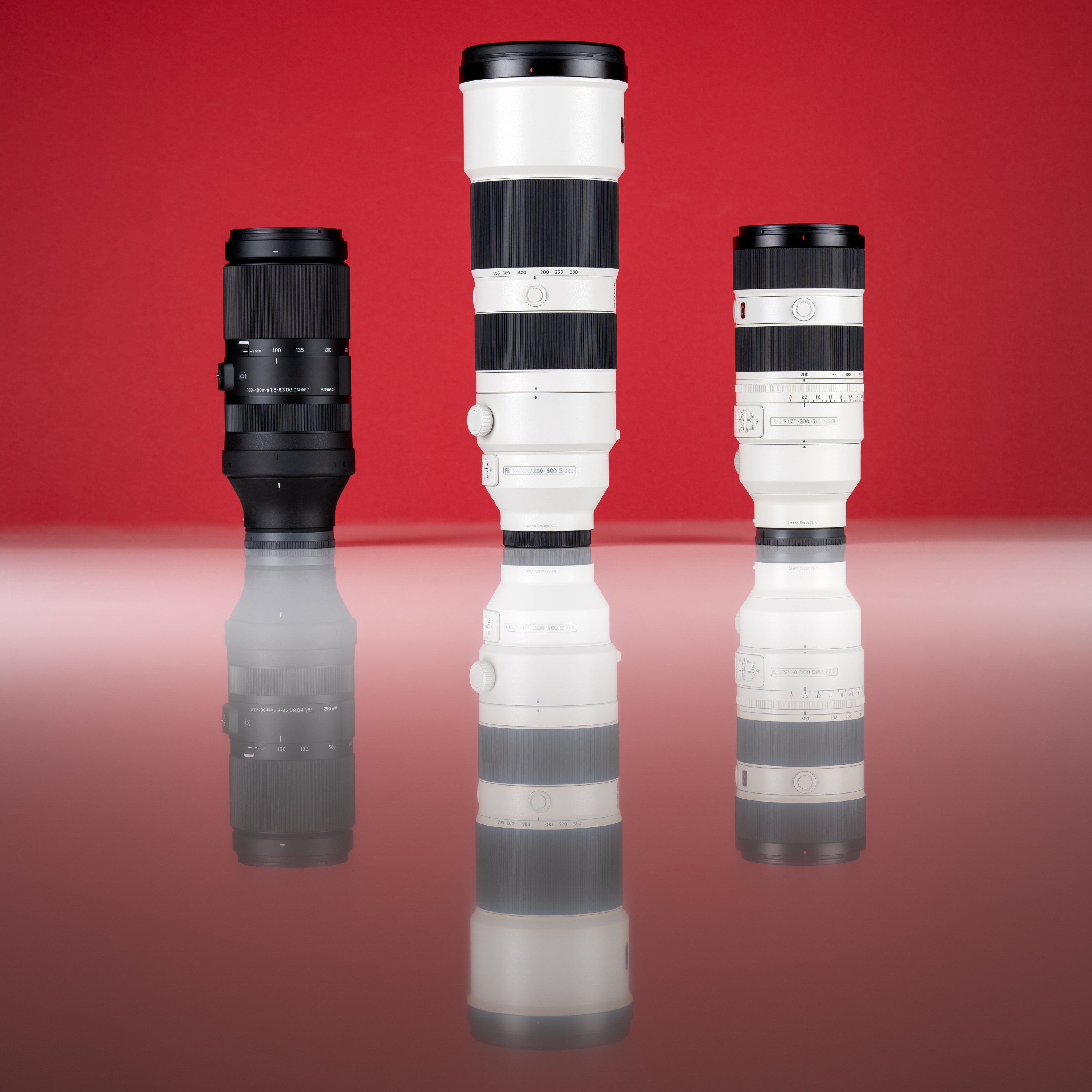 Sigma 100-400mm - Sony 200-600mm - Sony 70-200mm a7405727 edit